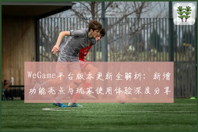 WeGame平台版本更新全解析:新增功能亮点与玩家使用体验深度分享