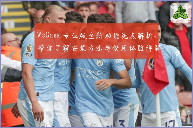 WeGame专业版全新功能亮点解析，带你了解安装方法与使用体验详解