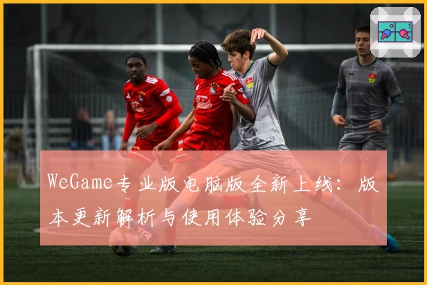 WeGame专业版电脑版全新上线：版本更新解析与使用体验分享